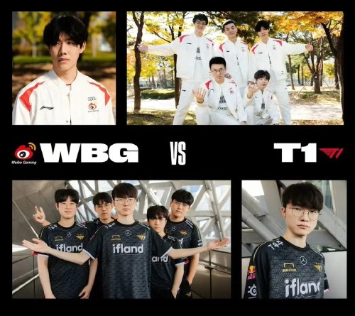 了多个意向 了多个意向